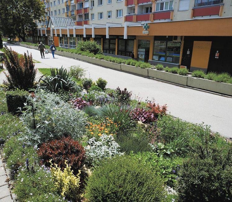 Predzáhradka číslo štyri na Poľnohospodárskej ulici vo Vrakuni.